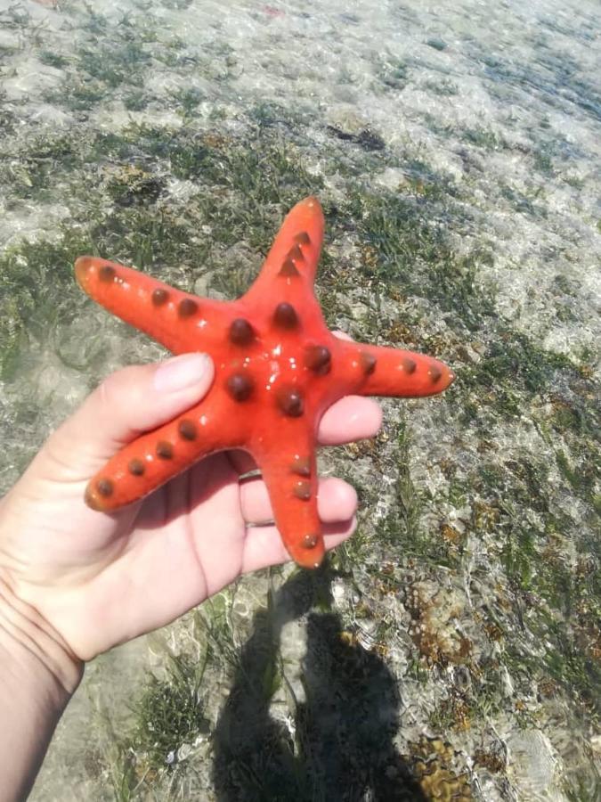 Sea Star Resort Semporna Bagian luar foto
